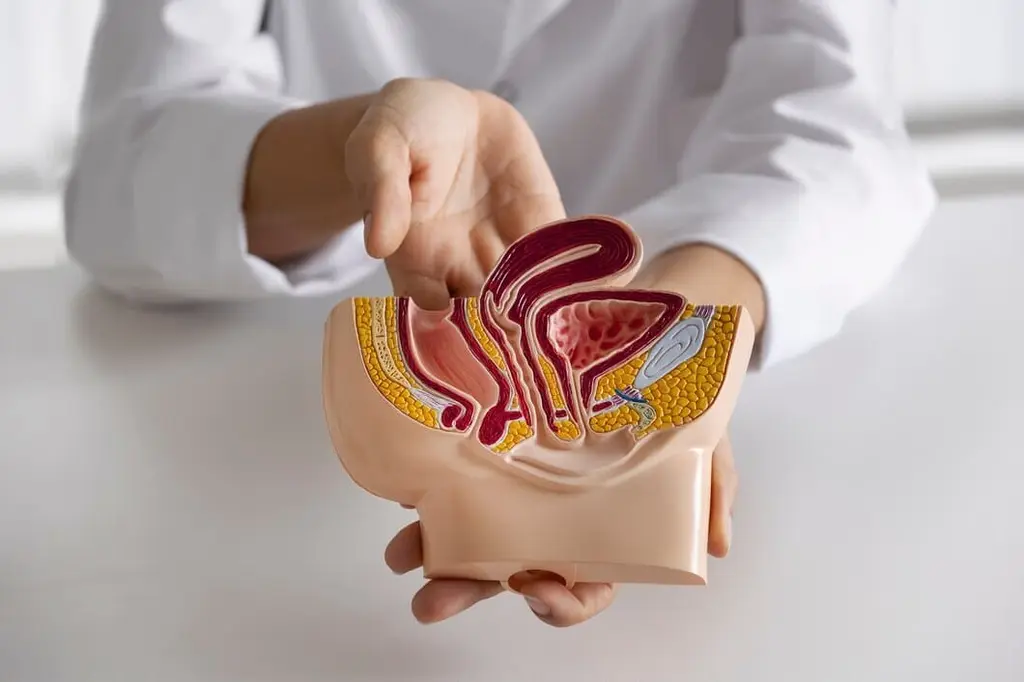 Urology
